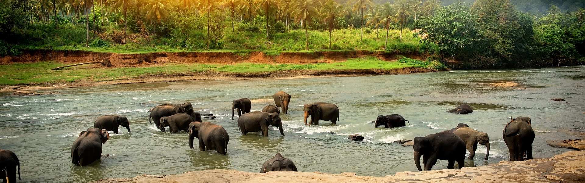 Bed & Breakfast Sri Lanka with Flights